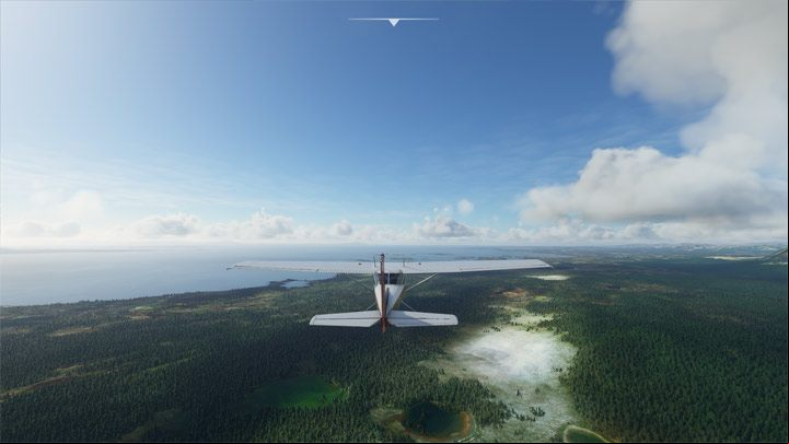 1 - Microsoft Flight Simulator: Animals - how to find? - FAQ - Microsoft Flight Simulator 2020 Guide