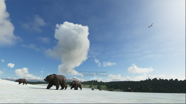3 - Microsoft Flight Simulator: Animals - how to find? - FAQ - Microsoft Flight Simulator 2020 Guide