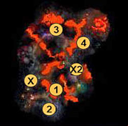 1 - Sigil of Arkath (+5 to magic defence for a week - 1st mission - The Fury and the Mire - Maps - Campaign - Might & Magic: Heroes VI Game Guide