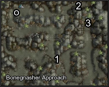 In order to gain access to Bonegnasher Lair (3), you have to get through the blocked age (1) - Bonegnasher Clan - Old Owl Well - Neverwinter Nights 2 - Game Guide and Walkthrough