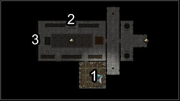 After a short scene one of the guards will alarm you that the situation downstairs has gotten pretty nasty - Lord Tavorick's Shard - Tracing Aldanon - Neverwinter Nights 2 - Game Guide and Walkthrough