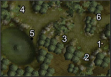 (1) - Bull' s Strength; (2) - Barkskin; (3) - Cat's Grace; (4) - Owl's Wisdom - Elanee (Act I) - Miscellaneous quests - Neverwinter Nights 2 - Game Guide and Walkthrough