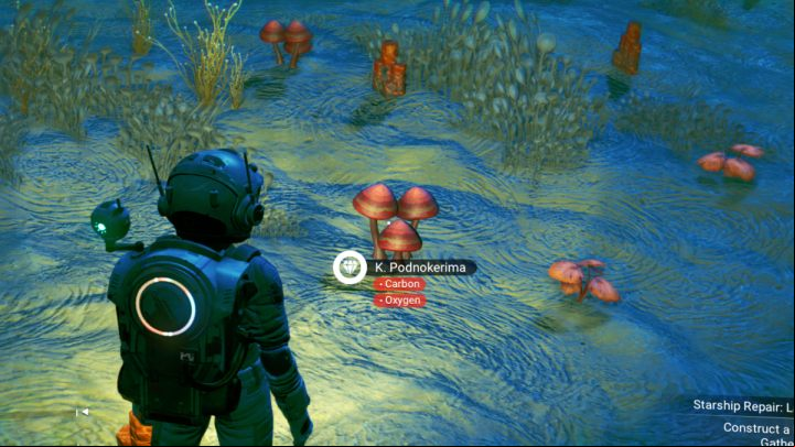 You can find oxygen in other forms than just the pure one detected with the regular scanner. Besides carbon, some plants will also have oxygen. - No Mans Sky: Survival mode - Basic information - No Mans Sky Game Guide