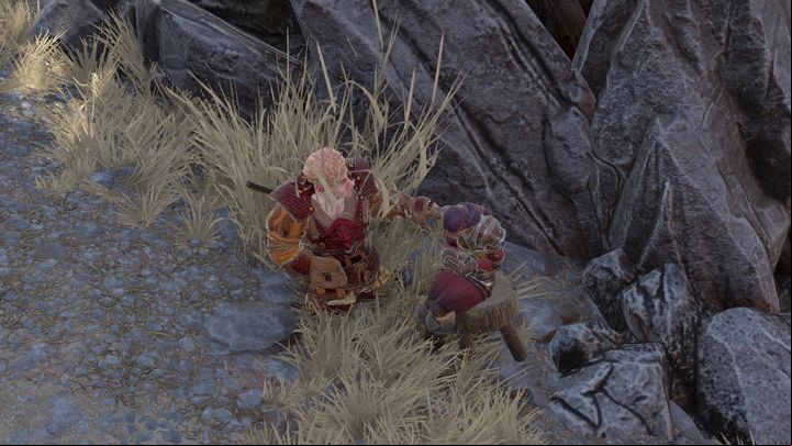 Let Beast speak with him - Beast companion quest | Companion quests - Companion quests - Divinity Original Sin 2 Guide
