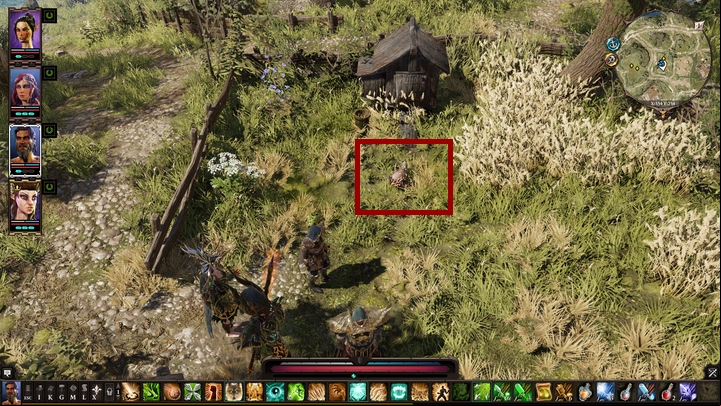 In The Meadows you can come across a bird called Ferno who suffers from a strange disease - The Ugly Little Bird | Reapers Coast - Chapter IV - Reapers Coast - Divinity Original Sin 2 Guide