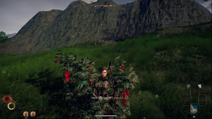 1 - Food and drinks in Outward - Tips - Outward Guide
