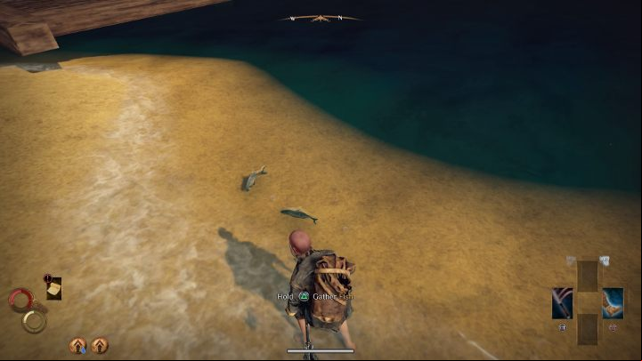 To fish, approach a place where you will notice a floating fishies. - Fishing in Outward - How to get the Fishing Harpoon? - FAQ - Outward Guide