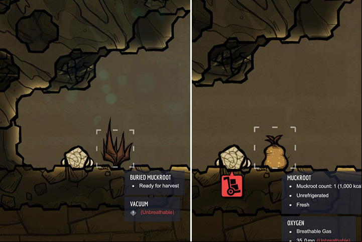 Muckroot - Harvestable plants in Oxygen Not Included - Plants - Oxygen Not Included Game Guide