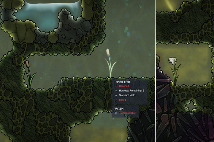 Thimble Reed - Unharvestable plants in Oxygen Not Included - Plants - Oxygen Not Included Game Guide