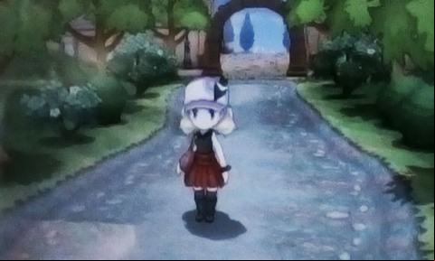 After the conversation and the battles, return to Your hometown (the town where You started and talk to Your mother - Gym 1 - Walkthrough - Pokemon X/Y - Game Guide and Walkthrough
