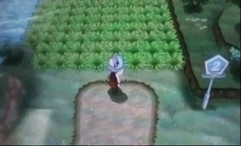 Bunnelby is a normal-type, and a pretty useless creature, however, in Santalune, in a house on the east part of the town, resides a hiker who will trade you a Farfetch'd for the Bunnelby - Gym 1 - Walkthrough - Pokemon X/Y - Game Guide and Walkthrough