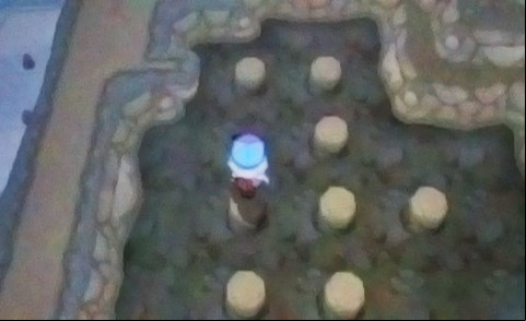 Head to the beach and follow the cliffs north - Route 8 - Walkthrough - Pokemon X/Y - Game Guide and Walkthrough