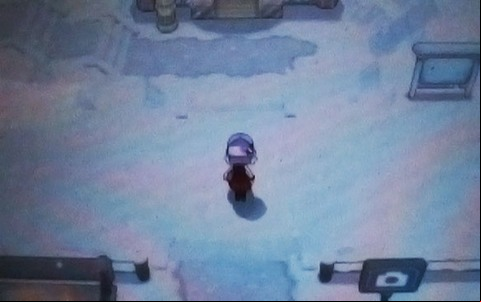 Head east, and the south to Couriway Town - Road 18/19 and Snowbelle City - Walkthrough - Pokemon X/Y - Game Guide and Walkthrough