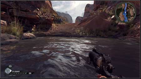 These flowers grow on the Crazy Joes Swamp - Miracle Cure | Side missions - Side missions - Rage Game Guide & Walkthrough