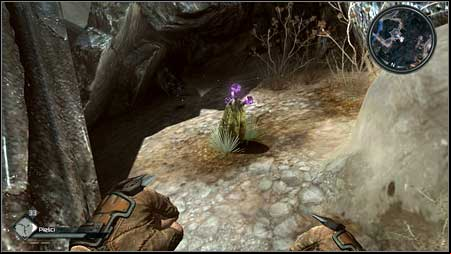 A flower can be found behind the rocks, to the left from the gate - Comet Bloom | Side missions - Side missions - Rage Game Guide & Walkthrough