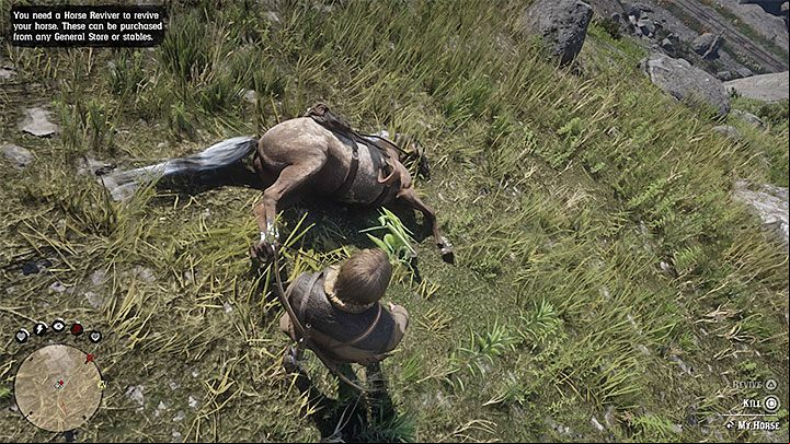 Yes, you can lose your horse permanently in Red Dead Redemption 2, even when you have unlocked all bonuses from reaching maximum bond - Red Dead Redemption 2: Horse - can it die? - Arthur and Dutchs gang - Red Dead Redemption 2 Guide