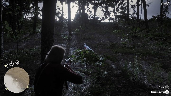 You can just use a bow or a gun - Red Dead Redemption 2: Legendary Fox - maps, tips - Legendary Animals - Red Dead Redemption 2 Guide
