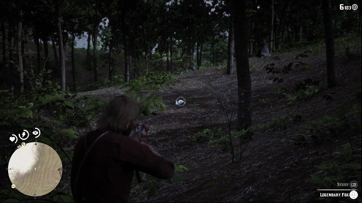 The fox will not attack you, and will immediately start running away - Red Dead Redemption 2: Legendary Fox - maps, tips - Legendary Animals - Red Dead Redemption 2 Guide