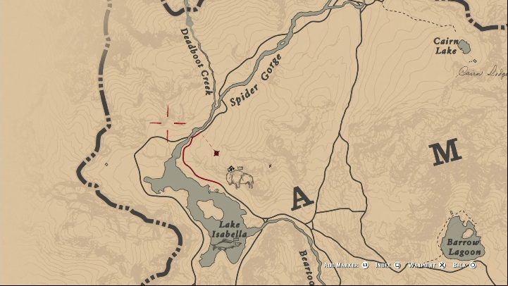 The Bison moves within the area marked on the screen below - Red Dead Redemption 2: Legendary White Bison - maps, tips - Legendary Animals - Red Dead Redemption 2 Guide