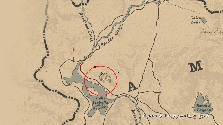 1 - Red Dead Redemption 2: Legendary White Bison - maps, tips - Legendary Animals - Red Dead Redemption 2 Guide
