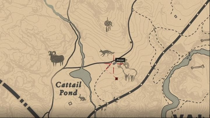 The Ram moves within the area marked on the screen below - Red Dead Redemption 2: Legendary Ram - maps, tips - Legendary Animals - Red Dead Redemption 2 Guide
