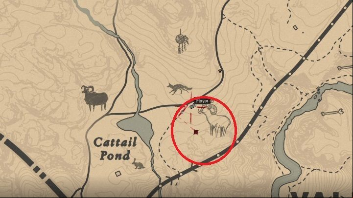 1 - Red Dead Redemption 2: Legendary Ram - maps, tips - Legendary Animals - Red Dead Redemption 2 Guide