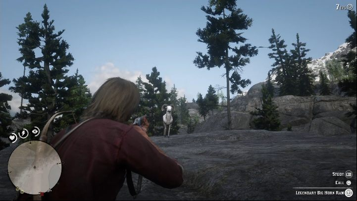 You have to go to the Ram with a long-distance weapon - Red Dead Redemption 2: Legendary Ram - maps, tips - Legendary Animals - Red Dead Redemption 2 Guide