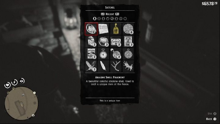 Go inside the cabin - Red Dead Redemption 2: Unique items - maps, locations, tips - Secrets and collectibles - Red Dead Redemption 2 Guide
