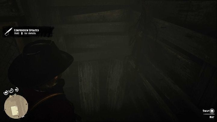 11 - Red Dead Redemption 2: Unique items - maps, locations, tips - Secrets and collectibles - Red Dead Redemption 2 Guide