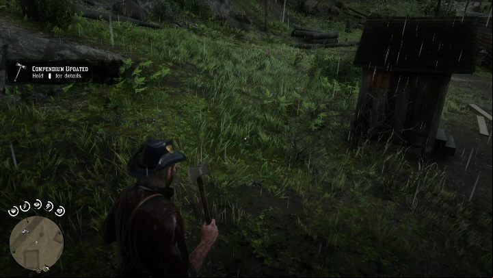 The hatchet is stuck in a tree stump - Red Dead Redemption 2: Unique items - maps, locations, tips - Secrets and collectibles - Red Dead Redemption 2 Guide