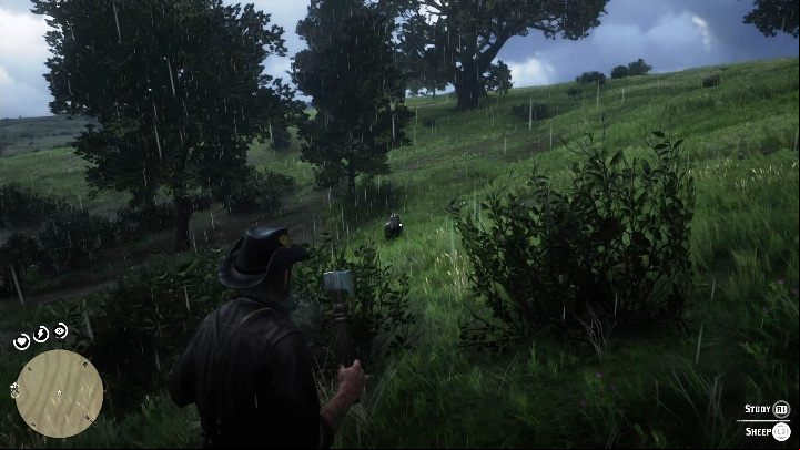 21 - Red Dead Redemption 2: Unique items - maps, locations, tips - Secrets and collectibles - Red Dead Redemption 2 Guide