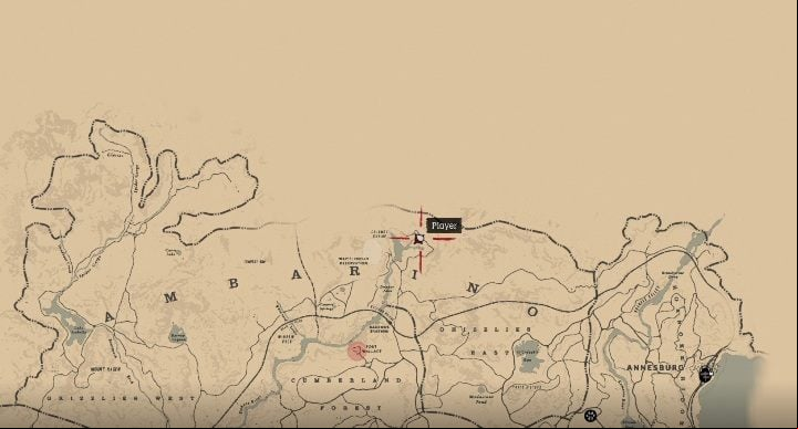 22 - Red Dead Redemption 2: Unique items - maps, locations, tips - Secrets and collectibles - Red Dead Redemption 2 Guide