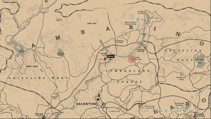 25 - Red Dead Redemption 2: Unique items - maps, locations, tips - Secrets and collectibles - Red Dead Redemption 2 Guide