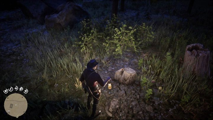 26 - Red Dead Redemption 2: Unique items - maps, locations, tips - Secrets and collectibles - Red Dead Redemption 2 Guide