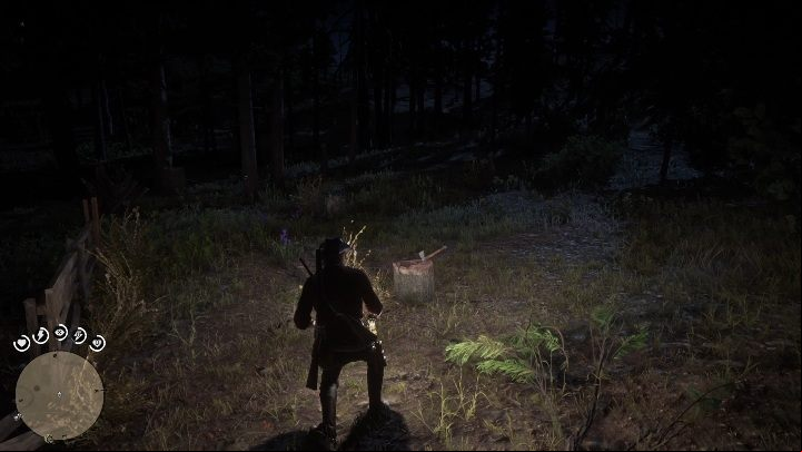 30 - Red Dead Redemption 2: Unique items - maps, locations, tips - Secrets and collectibles - Red Dead Redemption 2 Guide