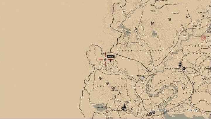 31 - Red Dead Redemption 2: Unique items - maps, locations, tips - Secrets and collectibles - Red Dead Redemption 2 Guide
