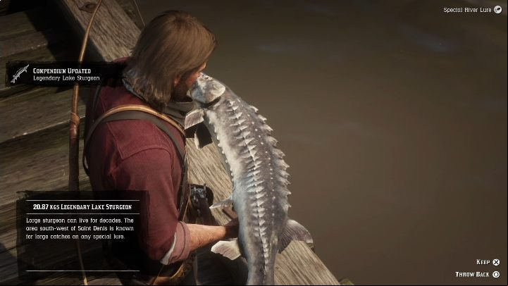 2 - Red Dead Redemption 2: Legendary Sturgeon - maps, tips - Legendary fish - Red Dead Redemption 2 Guide