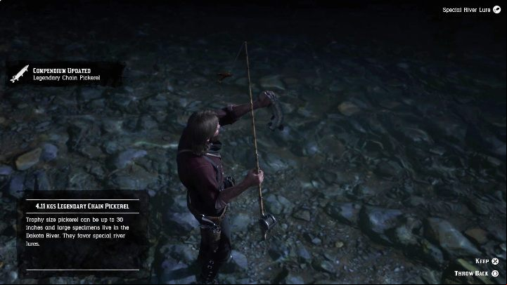 The legendary Chain Pickerel is a small fish - Red Dead Redemption 2: Legendary Chain Pickerel - maps, tips - Legendary fish - Red Dead Redemption 2 Guide