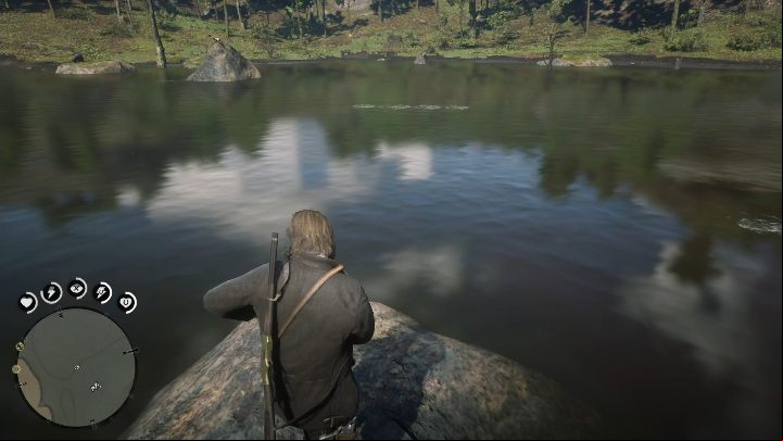 The best place to cast the rod will be the rock in the middle of the lake - Red Dead Redemption 2: Legendary Perch - maps, tips - Legendary fish - Red Dead Redemption 2 Guide