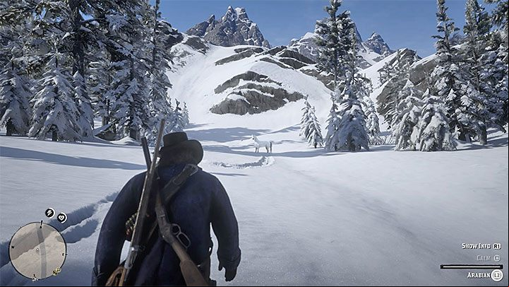 that this is a wild horse - Red Dead Redemption 2: The best horses - purchase, wild horses - Game basics - Red Dead Redemption 2 Guide