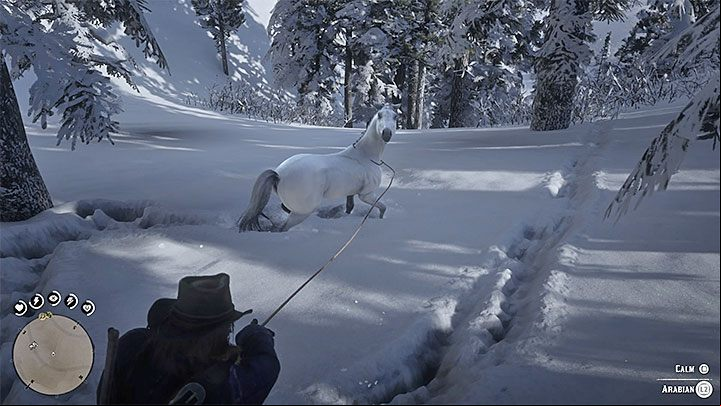 The second method is to use your lasso - Red Dead Redemption 2: The best horses - purchase, wild horses - Game basics - Red Dead Redemption 2 Guide