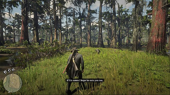 There are three places on the map where you can take pictures of alligators - Red Dead Redemption 2: Arcadia for Amateurs - walkthrough, map - Side quests - Red Dead Redemption 2 Guide