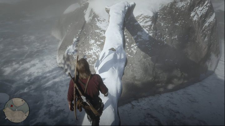In this area, you will find a piece of a tree - Red Dead Redemption 2: High Stakes Treasure Map - how to get the treasure? - Treasure Maps - Red Dead Redemption 2 Guide