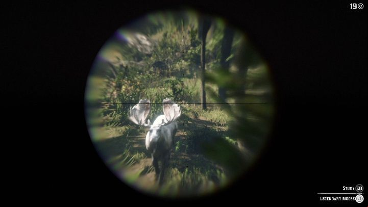 You have to go to the elk with a long-distance weapon - Red Dead Redemption 2: Legendary Elk - maps, tips - Legendary Animals - Red Dead Redemption 2 Guide