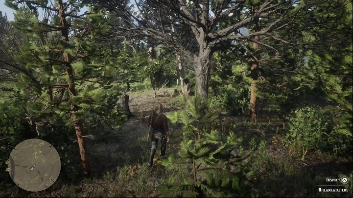 The next Dreamcatcher can be found near the city of Valentine - Red Dead Redemption 2: Dreamcatchers - where to find all of them? Maps - Secrets and collectibles - Red Dead Redemption 2 Guide