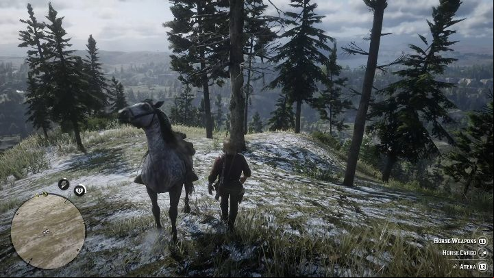 This Dreamcatcher is in Grizzlies West - Red Dead Redemption 2: Dreamcatchers - where to find all of them? Maps - Secrets and collectibles - Red Dead Redemption 2 Guide