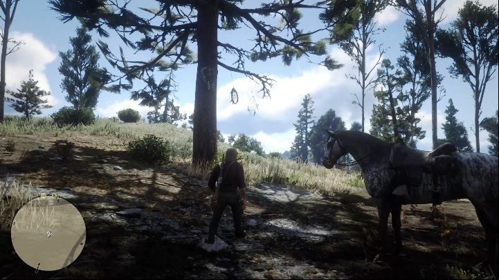 This Dreamcatcher can be found in the southern part of Ambarino, near Cotorra Springs - Red Dead Redemption 2: Dreamcatchers - where to find all of them? Maps - Secrets and collectibles - Red Dead Redemption 2 Guide