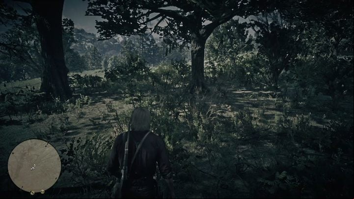 This Dreamcatcher can be found above The Heartlands - Red Dead Redemption 2: Dreamcatchers - where to find all of them? Maps - Secrets and collectibles - Red Dead Redemption 2 Guide