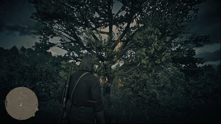 This Dreamcatcher can be found near Elysian Pool - Red Dead Redemption 2: Dreamcatchers - where to find all of them? Maps - Secrets and collectibles - Red Dead Redemption 2 Guide