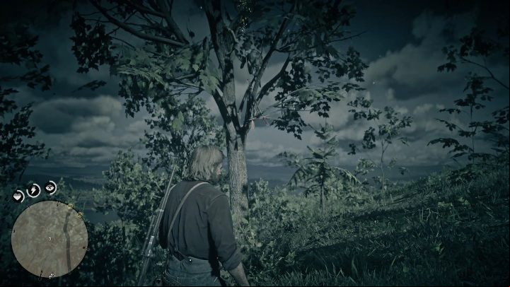 This Dreamcatcher can be found in the southern part of Annesburg - Red Dead Redemption 2: Dreamcatchers - where to find all of them? Maps - Secrets and collectibles - Red Dead Redemption 2 Guide